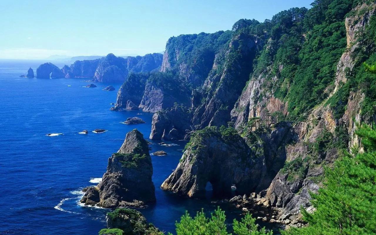 智能化科技全自动